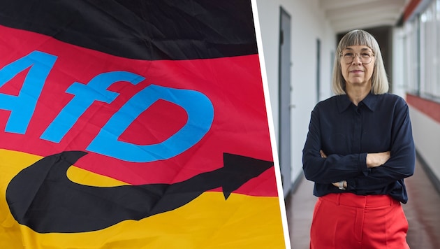 Barbara Steiner leitet seit 2021 die Stiftung Bauhaus in Dessau. Die AfD ist davon wenig ...