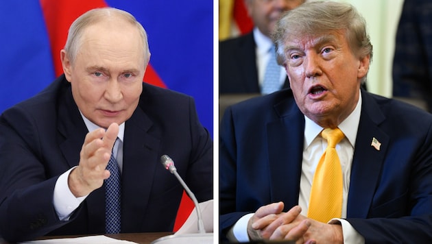 Der US-Präsident rechnet sich neue Chancen aus, Putin endlich von einer Beendigung des Krieges ...