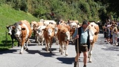 Alpabtrieb im Silbertal: ein Fest für alle Beteiligten
