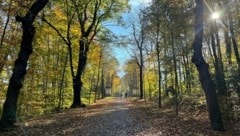Bald heißt es Jacke statt Badehose: Der Herbst kommt.