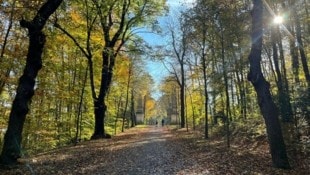 Bald heißt es Jacke statt Badehose: Der Herbst kommt.