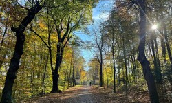 Bald heißt es Jacke statt Badehose: Der Herbst kommt.