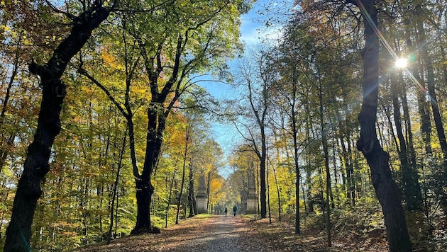 Bald heißt es Jacke statt Badehose: Der Herbst kommt.