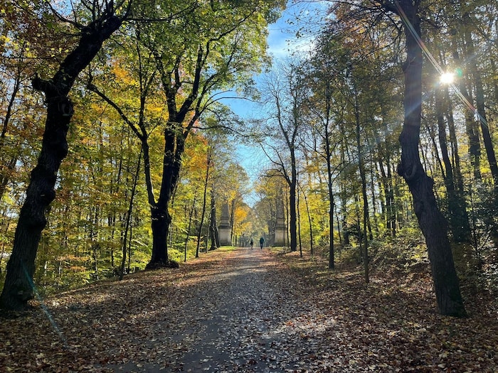 Bald heißt es Jacke statt Badehose: Der Herbst kommt.