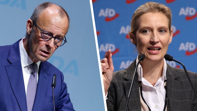 CDU-Kanzler Friedrich Merz hat schwere Tage vor sich. AfD-Chefin Alice Weidel will nun die Macht ...