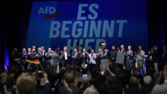 Die AfD hatte vor der Wahl das Ziel einer Alleinregierung ausgegeben – das verpasst sie aber ...
