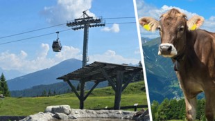 In Mieders im Stubaital kam es zu dem kuriosen Unfall.