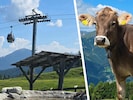 In Mieders im Stubaital kam es zu dem kuriosen Unfall.