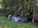 Erst ein Baum stoppte die unfreiwillige Fahrt des Kleinbusses.