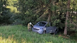 Erst ein Baum stoppte die unfreiwillige Fahrt des Kleinbusses.