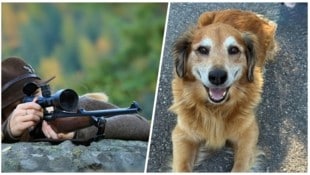 Der 14-jährige „Alfi“ wurde im  August auf seiner üblichen Gassi-Runde erschossen – sein Herrl ...