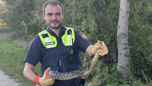 Die Polizei in Kirchroth musste sich als Schlangenfänger bemühen.