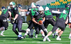 Die Ducks ziehen sich aus der Austrian Football League zurück.