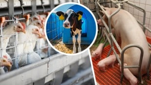 Auch die Wissenschaft spricht eine klare Sprache: Die Europäische Behörde für ...
