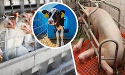 Auch die Wissenschaft spricht eine klare Sprache: Die Europäische Behörde für ...