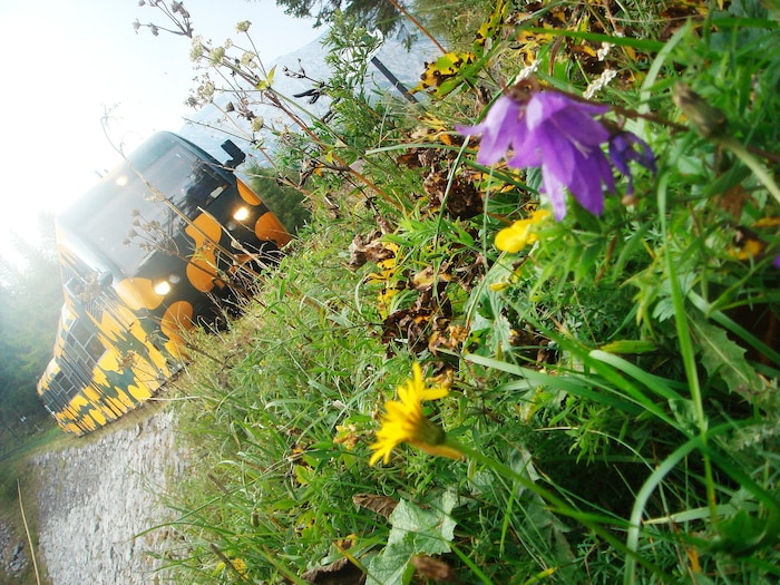 Die Scheeberg-Bahn hat im (heißen) Sommer viele Fahrgäste angelockt.