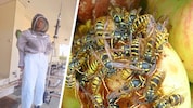 Gabriele (Bild) und Stefan Kollmann sind erfahrene Schädlingsbekämpfer – auch auf dem Gebiet der ...