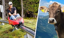 Auf der Sommerrodelbahn kam es zu einem ungewöhnlichen Unfall. (Symbolbild)