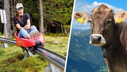 Auf der Sommerrodelbahn kam es zu einem ungewöhnlichen Unfall. (Symbolbild)