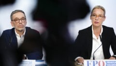 Zwischen der FPÖ und der AfD gibt es enorme Schnittmengen.