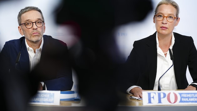 Zwischen der FPÖ und der AfD gibt es enorme Schnittmengen.