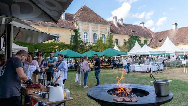 Im traumhaften Schlosshof warten Handwerk, Kulinarik, Pflanzenraritäten und vor allem viel gute ...