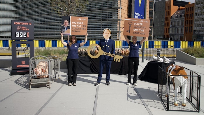 „Schlüsselfiguren“ wie EU-Kommissar Olivér Várhelyi (hier von Aktivist dargestellt) haben das ...