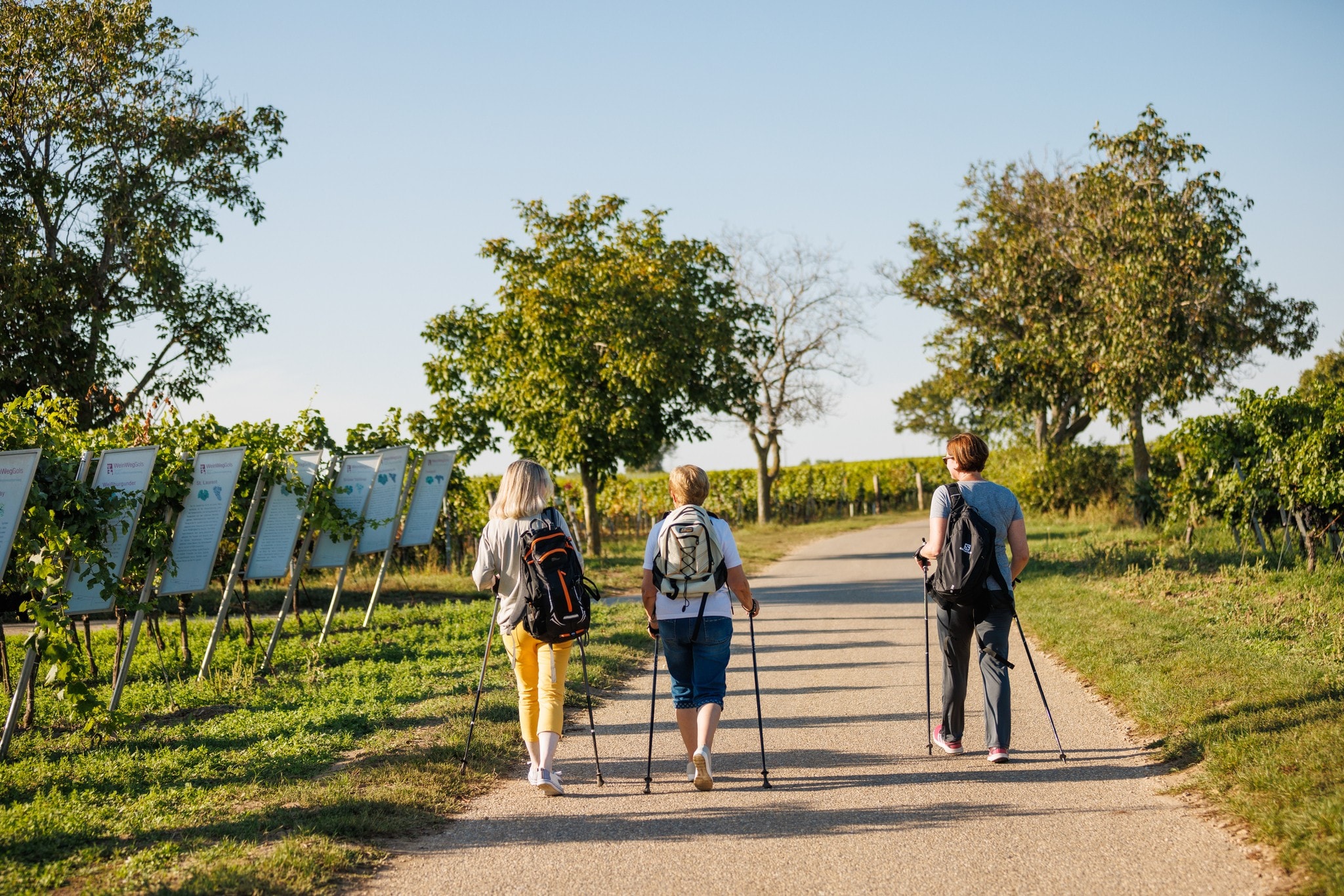 Am WeinWeg Gols lässt sich Wissen rund um die Rebensäfte der Region erwandern.