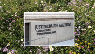 Im Salzburger Landesgericht spielten sich weniger blumige Szenen ab, bis Tränen einer Zeugin zur ...