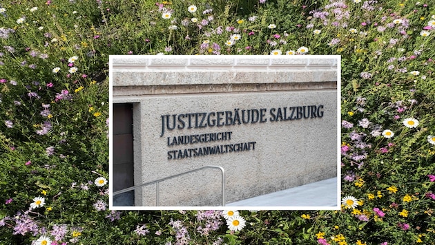 Im Salzburger Landesgericht spielten sich weniger blumige Szenen ab, bis Tränen einer Zeugin zur ...