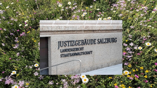 Im Salzburger Landesgericht spielten sich weniger blumige Szenen ab, bis Tränen einer Zeugin zur ...