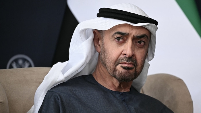 Der Herrscher der Vereinigten Arabischen Emirate soll Netanyahu gewarnt haben, nachdem er aus ...