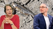 Ist es „Gotteslästerung“, wenn man Menschen für den Klimawandel verantwortlich macht, wie ...