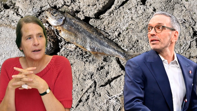Ist es „Gotteslästerung“, wenn man Menschen für den Klimawandel verantwortlich macht, wie ...