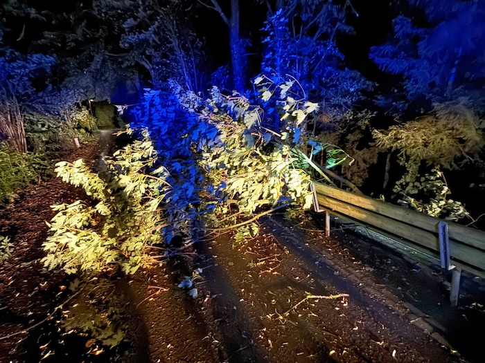 Umgestürzte Bäume und abgebrochenes Geäst verlegte Straßen und Radwege.