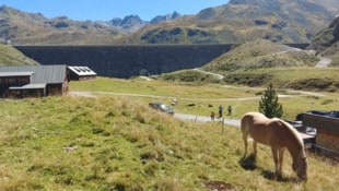 Unter der Silvretta-Staumauer liegt das Silvrettadorf: Heute ein Ausflugsziel, damals die ...