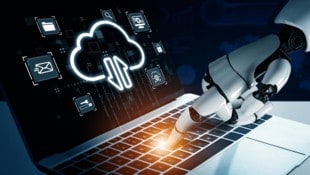 Der Betreiber eines bei Programmieren beliebten Internetportals aus Graz staunte nicht schlecht, ...