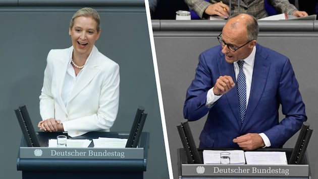 AfD-Chefin Alice Weidel und Bundeskanzler Friedrich Merz lieferten sich einen heftigen ...