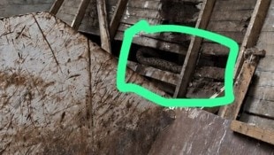 Dieses Bild löste einen Alarmeinsatz aus.