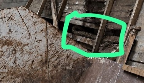 Dieses Bild löste einen Alarmeinsatz aus.