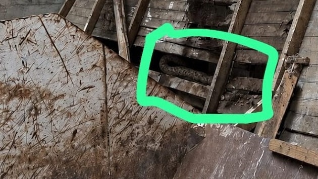Dieses Bild löste einen Alarmeinsatz aus.
