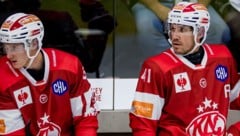 Der KAC kassierte gegen die Kölner Haie die nächste CHL-Pleite.