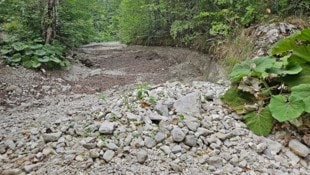 Viele Flüsse, wie hier der Langbathbach, sind noch immer teilweise ausgetrocknet.