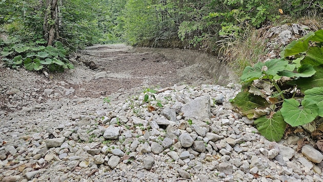 Viele Flüsse, wie hier der Langbathbach, sind noch immer teilweise ausgetrocknet.