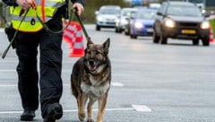 Schweizer Spürhunde haben bei der Durchsuchung eines verdächtigen Fahrzeugs zwei Mal ...