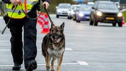 Schweizer Spürhunde haben bei der Durchsuchung eines verdächtigen Fahrzeugs zwei Mal ...