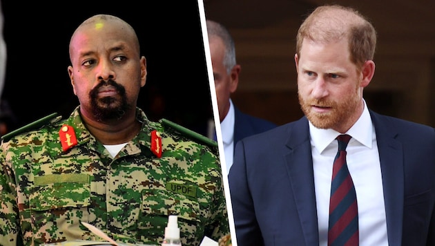 General Muhoozi Kainerugaba hat Prinz Harry eine deutliche Absage ausgerichtet. Sein Land nimmt ...