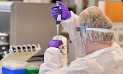 Die DNA-Experten in New York nutzen moderne Methoden, um auch stark beschädigte Knochenfragmente ...
