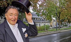 Der Grinzinger Anger in Döbling sollte zum Richard-Lugner-Platz werden. Daraus wird – vorerst – ...