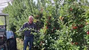 Jens Blum in Höchst: zufrieden mit der Entwicklung der Früchte. 